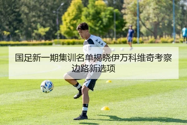 国足新一期集训名单揭晓伊万科维奇考察边路新选项